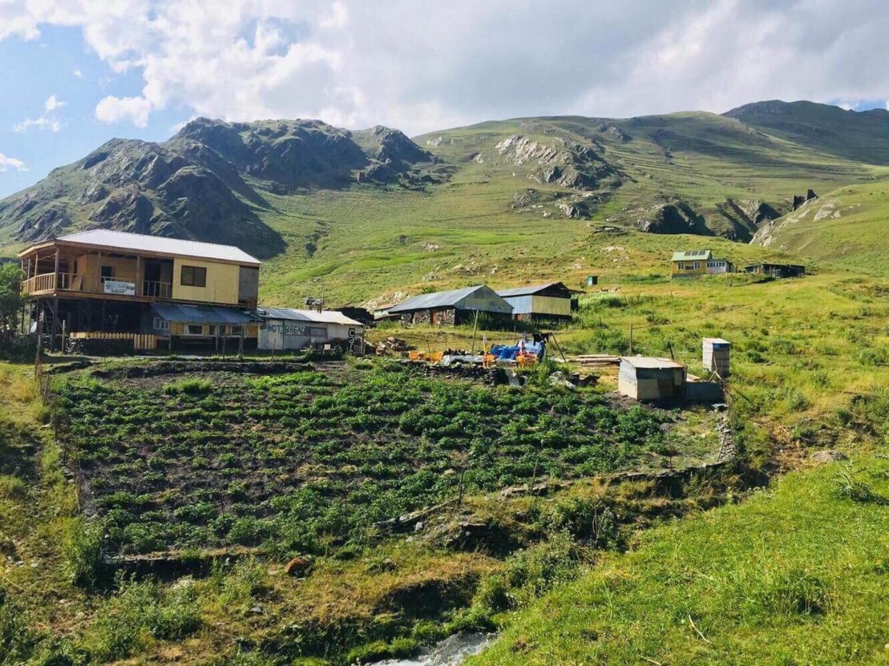 Hostel Shio'S Stonehouse In Tusheti Exterior foto